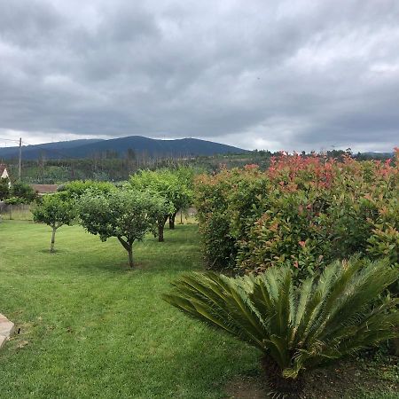 Vila Delfina Villa Lousã Exterior foto