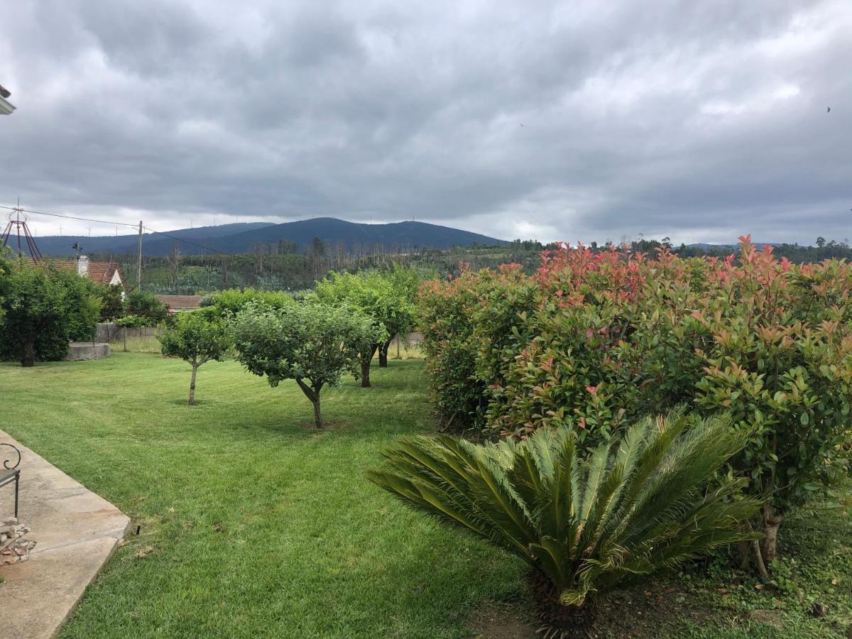 Vila Delfina Lousã Exterior foto